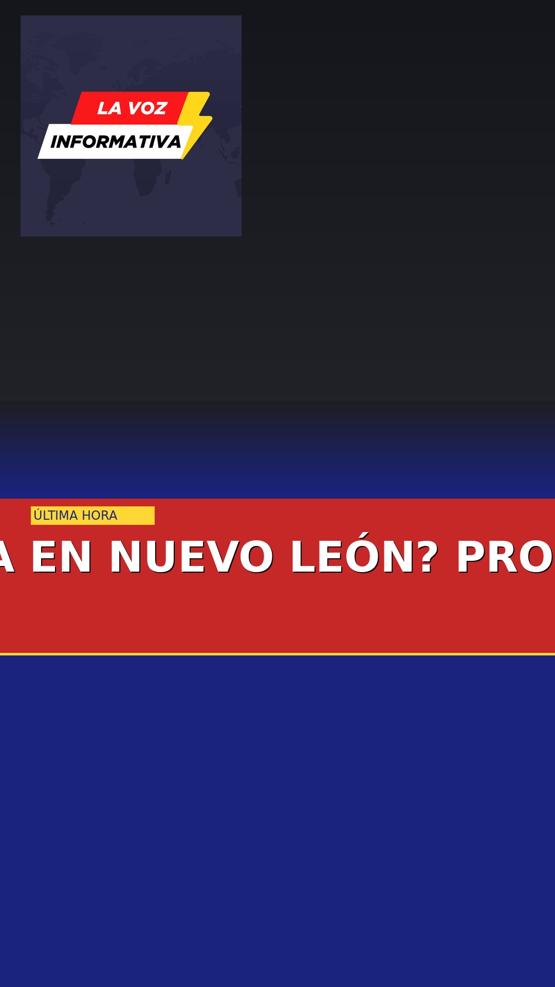 de-que-murio-la-osa-mina-rescatada-en-nuevo-leon-profepa-revelar-resultados-de-n-cover