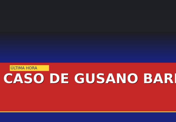 detectan-en-nl-primer-caso-de-gusano-barrenador-en-oso-negro-cover