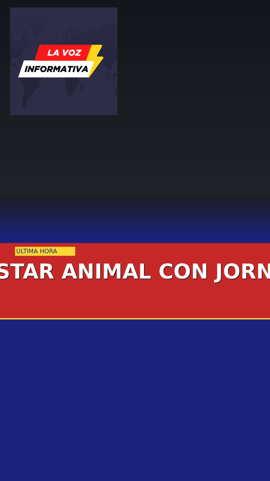 juarez-impulsa-bienestar-animal-con-jornada-dejando-huella-cover