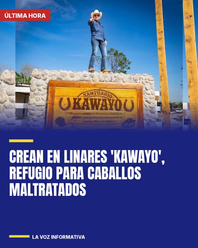 crean-en-linares-kawayo-refugio-para-caballos-maltratados-cover