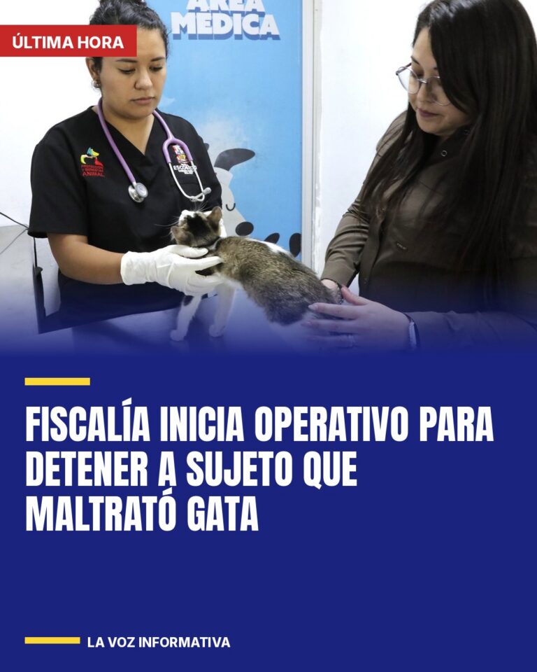 fiscalia-inicia-operativo-para-detener-a-sujeto-que-maltrato-gata-cover