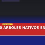 planta-monterrey-20-arboles-nativos-en-el-parque-obispado-cover