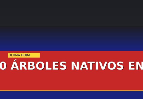 planta-monterrey-20-arboles-nativos-en-el-parque-obispado-cover