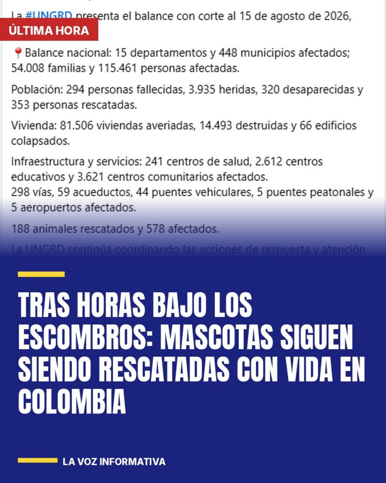 tras-horas-bajo-los-escombros-mascotas-siguen-siendo-rescatadas-con-vida-en-colo-cover