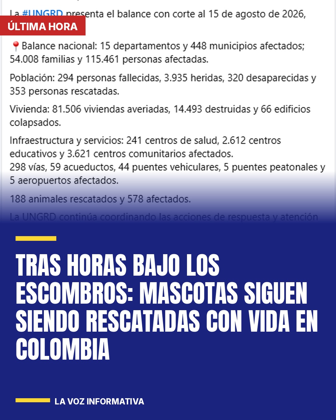tras-horas-bajo-los-escombros-mascotas-siguen-siendo-rescatadas-con-vida-en-colo-cover