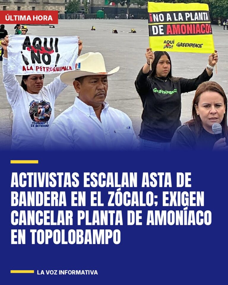 activistas-escalan-asta-de-bandera-en-el-zocalo-exigen-cancelar-planta-de-amonia-cover