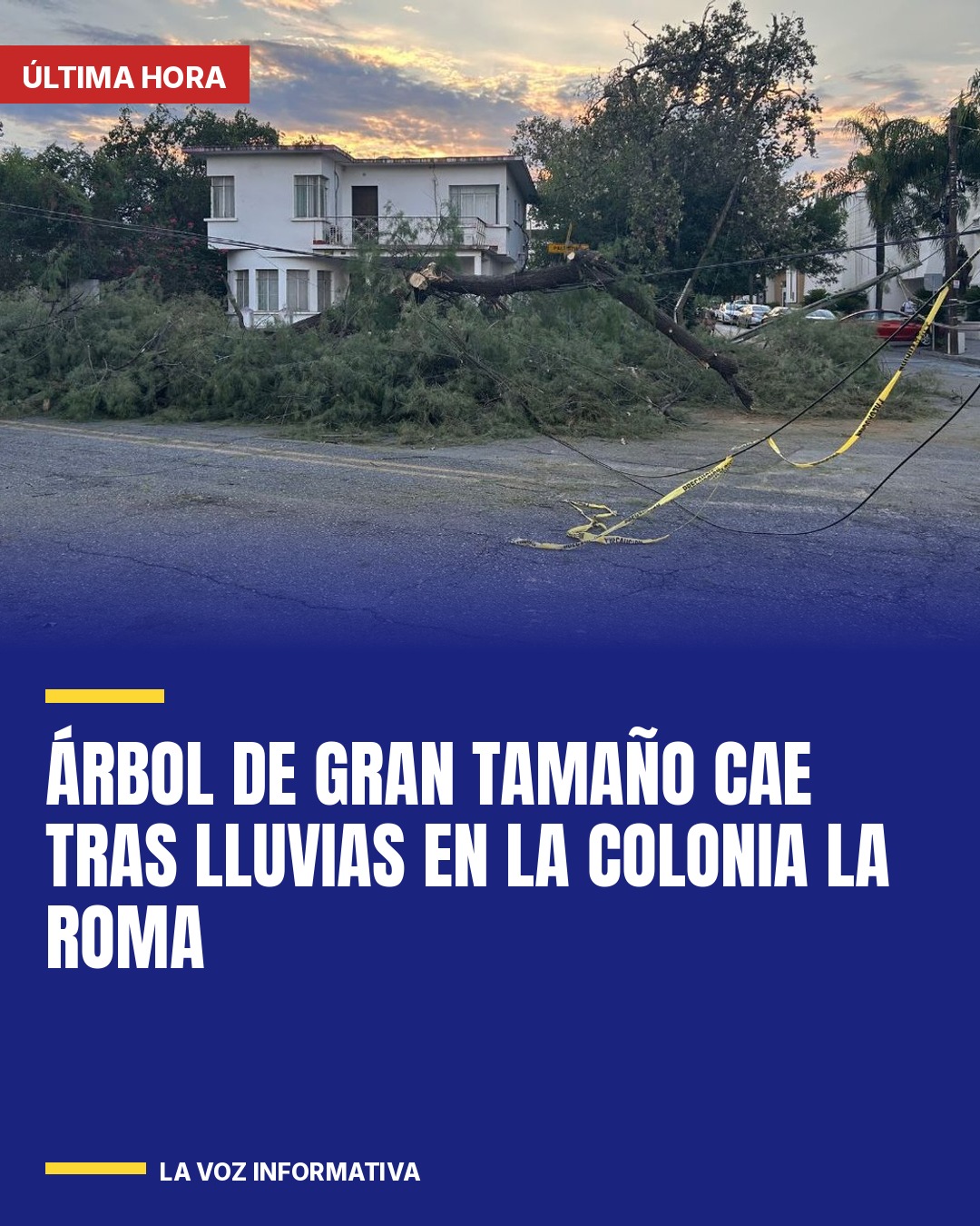 arbol-de-gran-tamano-cae-tras-lluvias-en-la-colonia-la-roma-cover