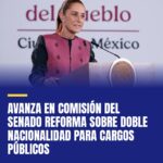 avanza-en-comision-del-senado-reforma-sobre-doble-nacionalidad-para-cargos-publi-cover