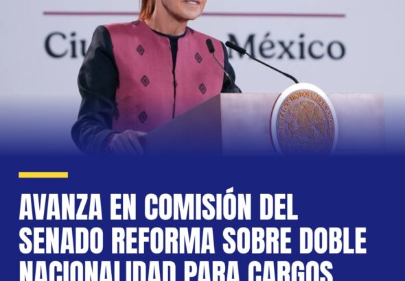 avanza-en-comision-del-senado-reforma-sobre-doble-nacionalidad-para-cargos-publi-cover