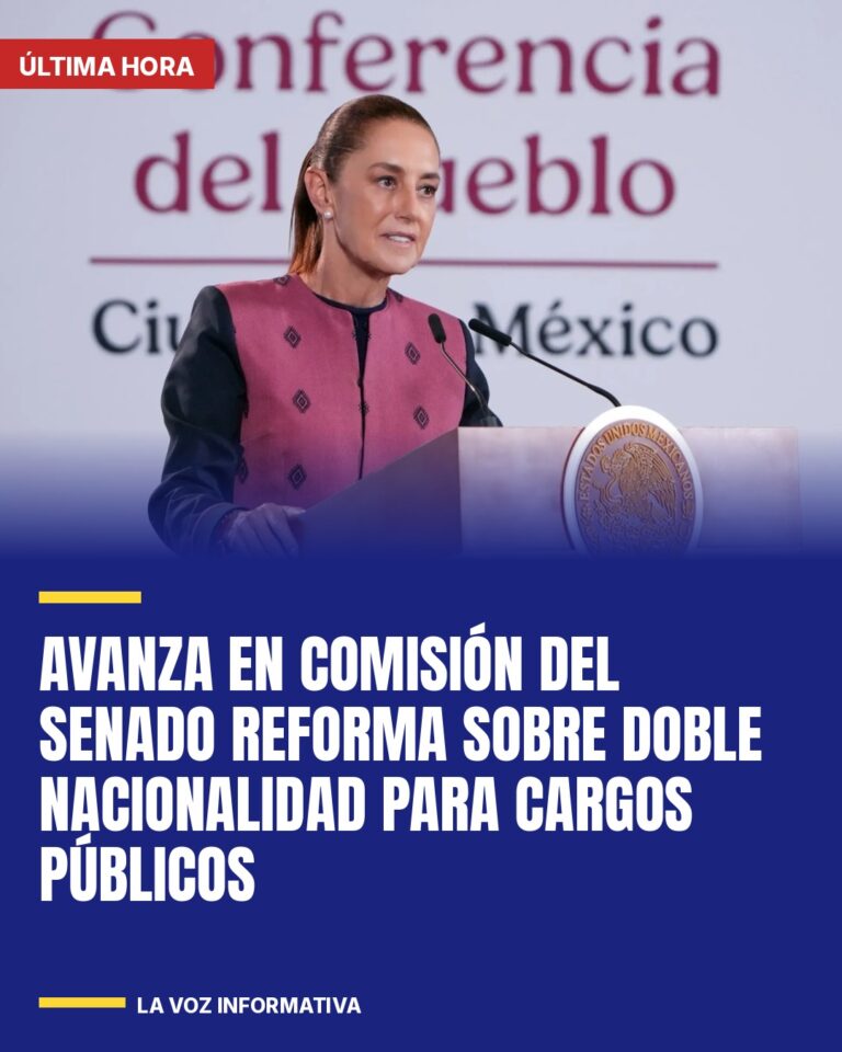 avanza-en-comision-del-senado-reforma-sobre-doble-nacionalidad-para-cargos-publi-cover
