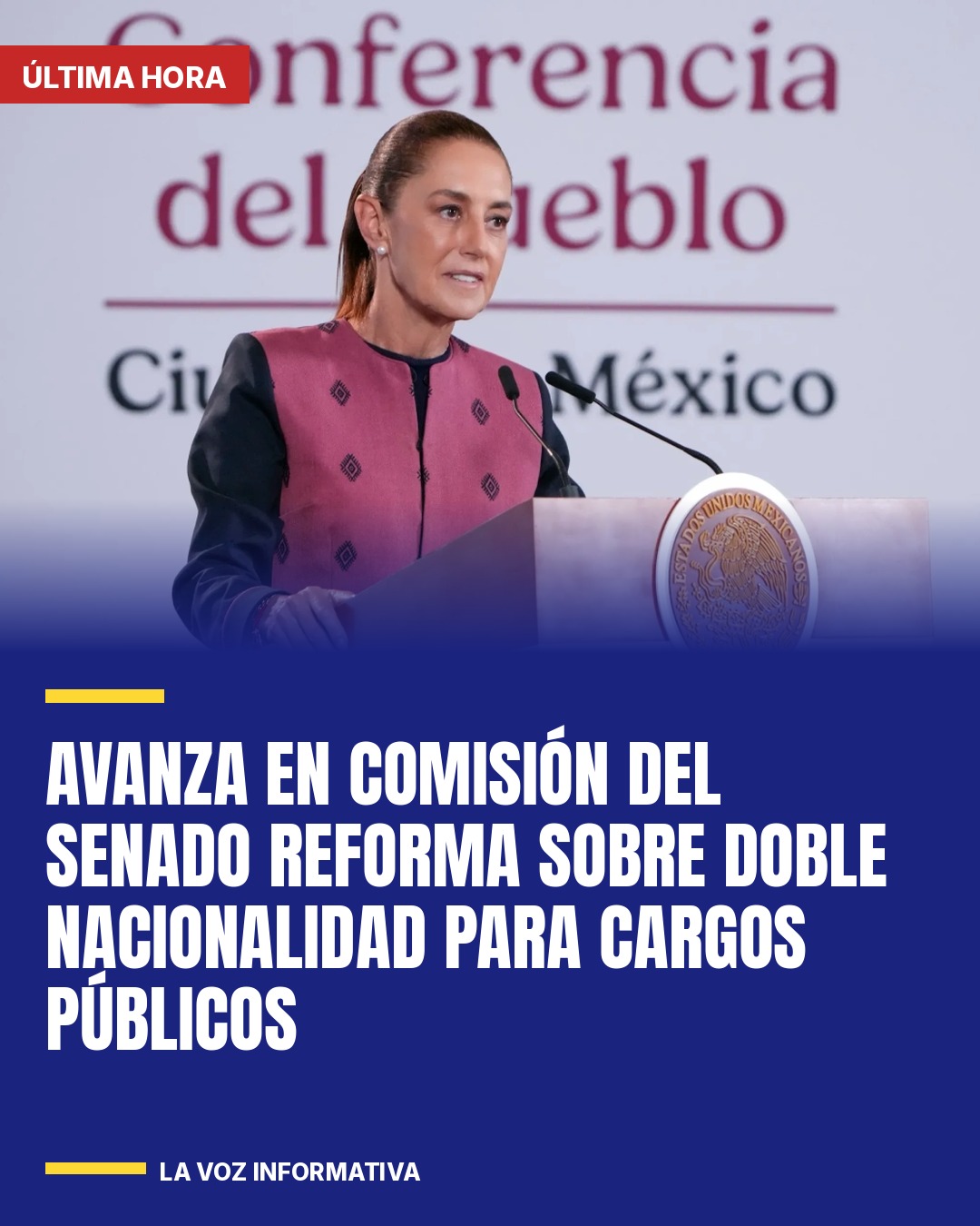 avanza-en-comision-del-senado-reforma-sobre-doble-nacionalidad-para-cargos-publi-cover