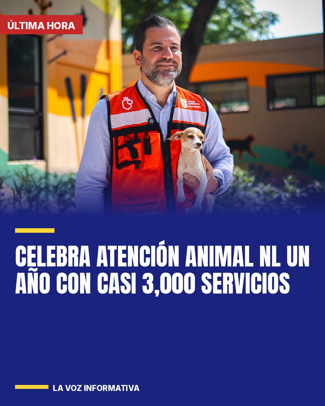 celebra-atencion-animal-nl-un-ano-con-casi-3000-servicios-cover