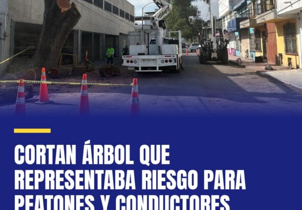 cortan-arbol-que-representaba-riesgo-para-peatones-y-conductores-cover