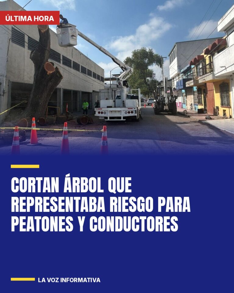 cortan-arbol-que-representaba-riesgo-para-peatones-y-conductores-cover