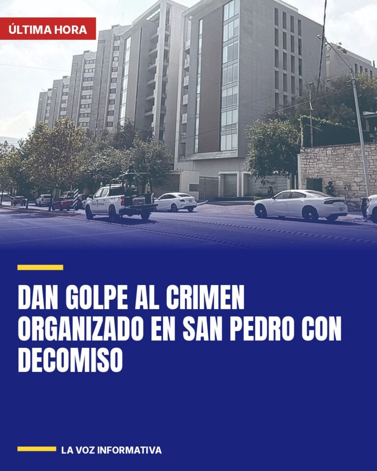 dan-golpe-al-crimen-organizado-en-san-pedro-con-decomiso-cover