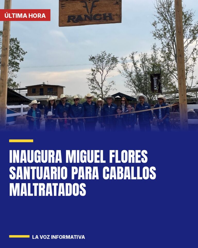 inaugura-miguel-flores-santuario-para-caballos-maltratados-cover