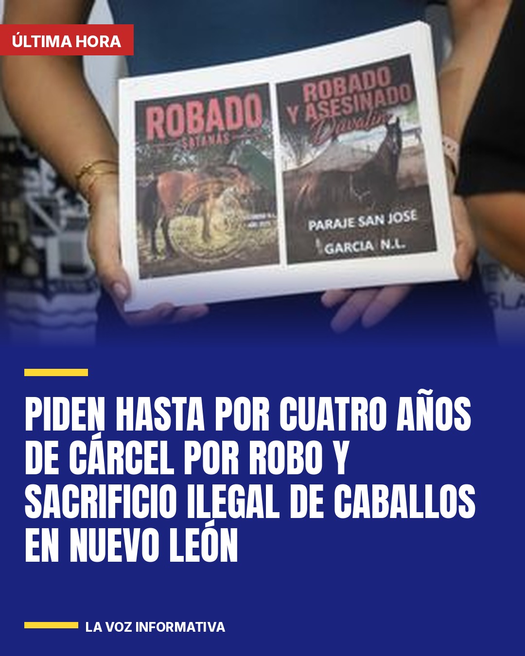 piden-hasta-por-cuatro-anos-de-carcel-por-robo-y-sacrificio-ilegal-de-caballos-e-cover