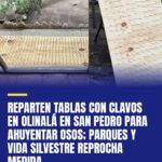 reparten-tablas-con-clavos-en-olinala-en-san-pedro-para-ahuyentar-osos-parques-y-cover