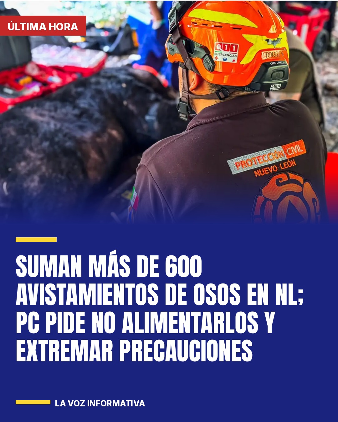 suman-mas-de-600-avistamientos-de-osos-en-nl-pc-pide-no-alimentarlos-y-extremar-cover