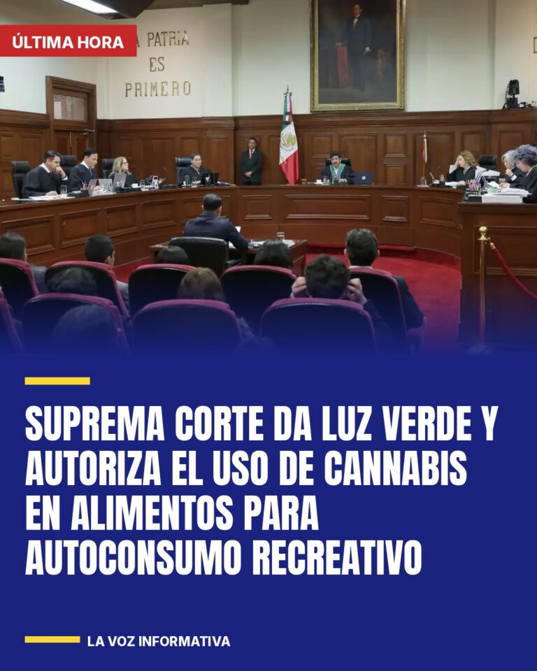 suprema-corte-da-luz-verde-y-autoriza-el-uso-de-cannabis-en-alimentos-para-autoc-cover