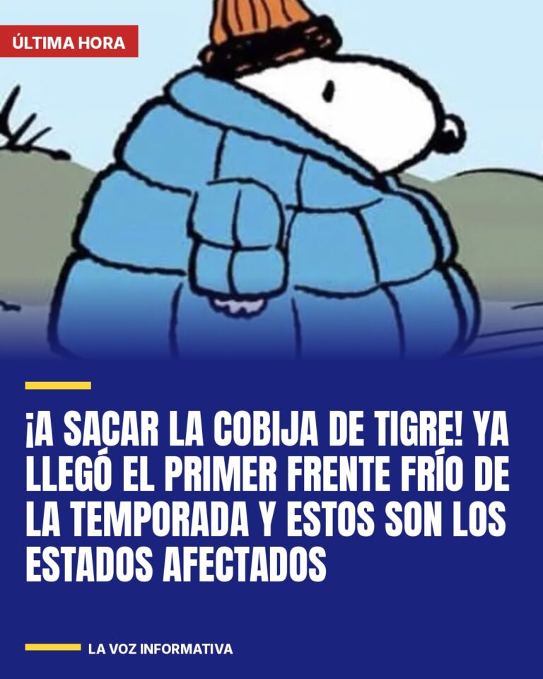 a-sacar-la-cobija-de-tigre-ya-llego-el-primer-frente-frio-de-la-temporada-y-esto-cover