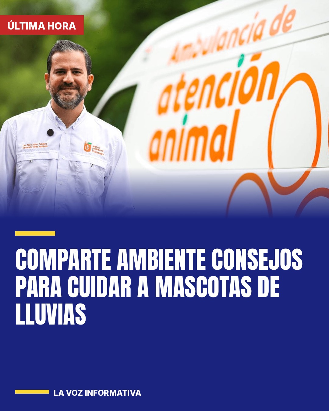 comparte-ambiente-consejos-para-cuidar-a-mascotas-de-lluvias-cover