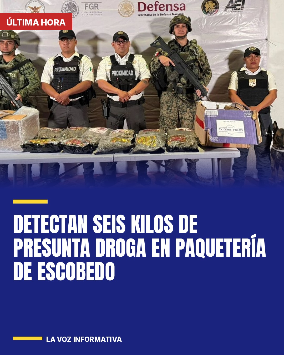 detectan-seis-kilos-de-presunta-droga-en-paqueteria-de-escobedo-cover