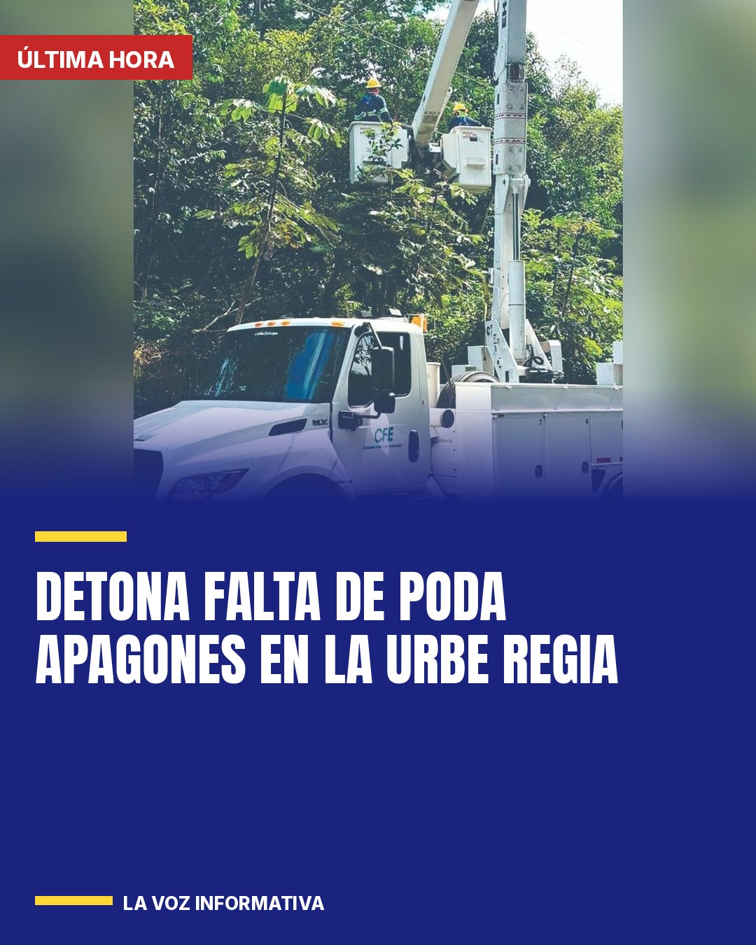 detona-falta-de-poda-apagones-en-la-urbe-regia-cover
