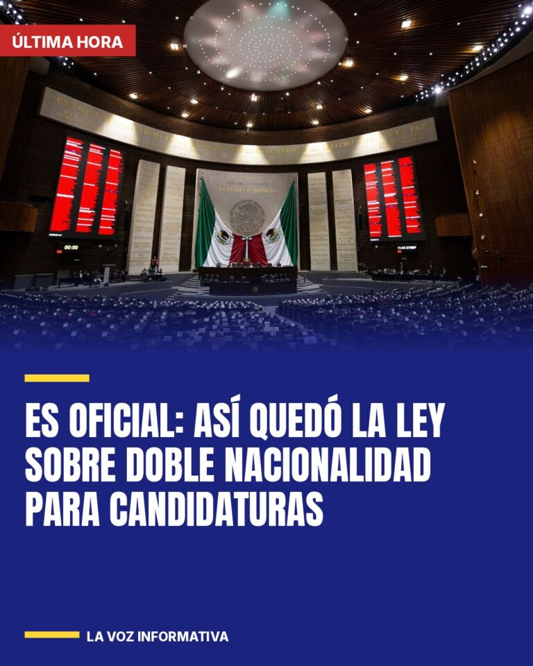 es-oficial-asi-quedo-la-ley-sobre-doble-nacionalidad-para-candidaturas-cover
