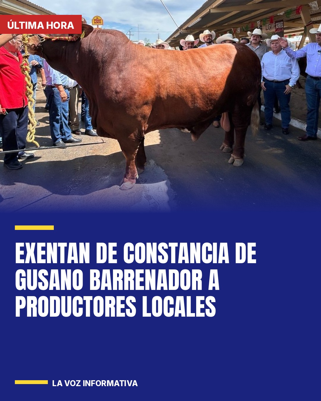 exentan-de-constancia-de-gusano-barrenador-a-productores-locales-cover