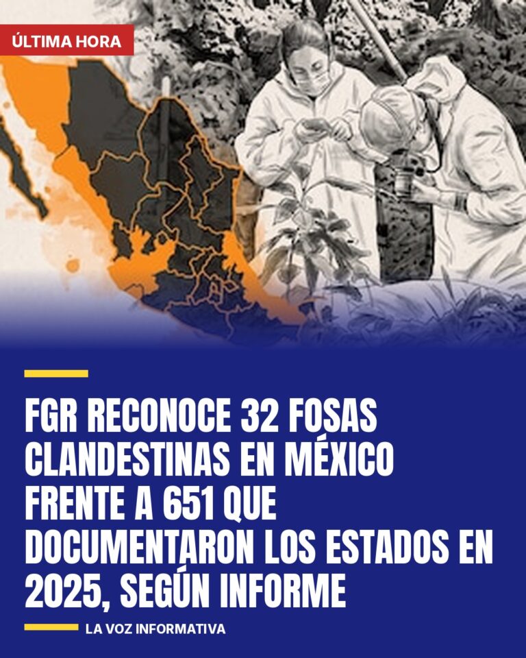 fgr-reconoce-32-fosas-clandestinas-en-mexico-frente-a-651-que-documentaron-los-e-cover
