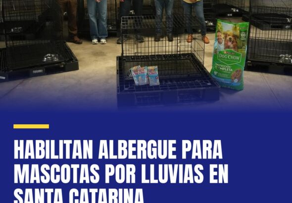 habilitan-albergue-para-mascotas-por-lluvias-en-santa-catarina-cover