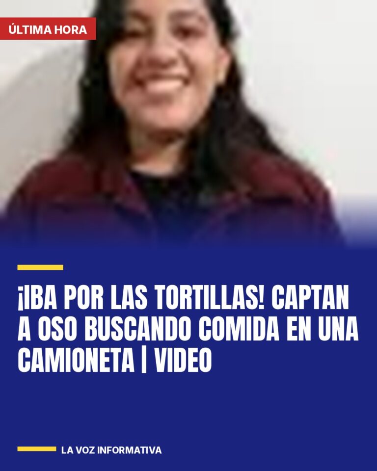 iba-por-las-tortillas-captan-a-oso-buscando-comida-en-una-camioneta-cover