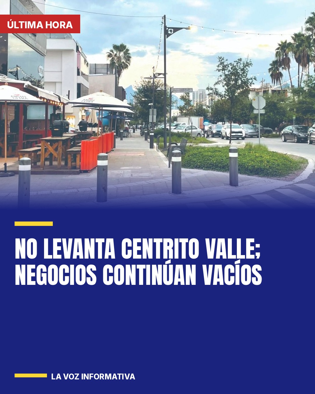 no-levanta-centrito-valle-negocios-continuan-vacios-cover