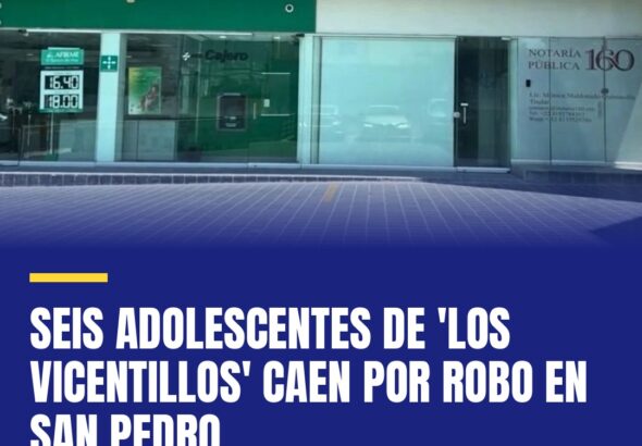 seis-adolescentes-de-los-vicentillos-caen-por-robo-en-san-pedro-cover