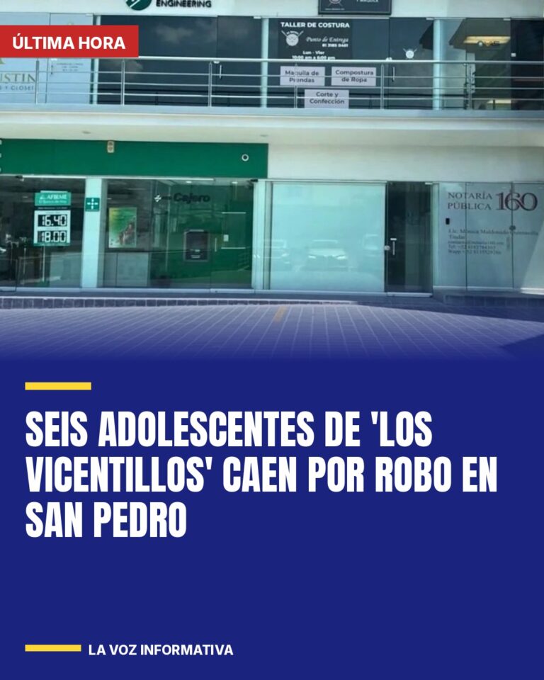 seis-adolescentes-de-los-vicentillos-caen-por-robo-en-san-pedro-cover