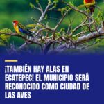 tambien-hay-alas-en-ecatepec-el-municipio-sera-reconocido-como-ciudad-de-las-ave-cover