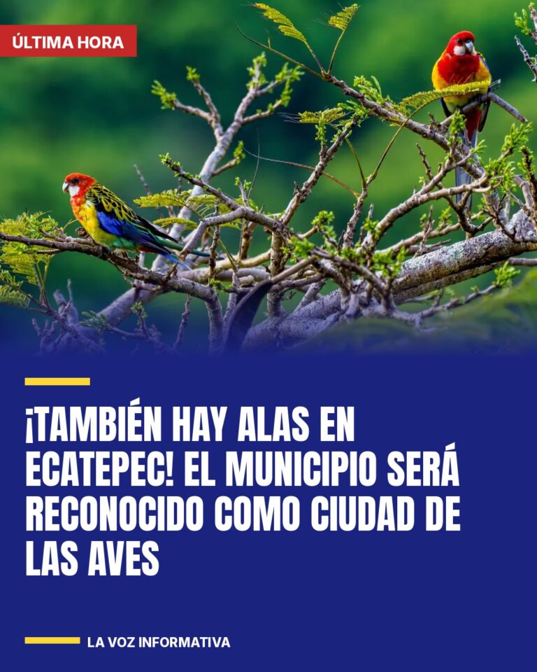 tambien-hay-alas-en-ecatepec-el-municipio-sera-reconocido-como-ciudad-de-las-ave-cover